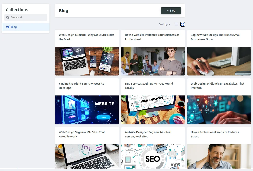 Blog editor showing a grid of posts and an add-post button